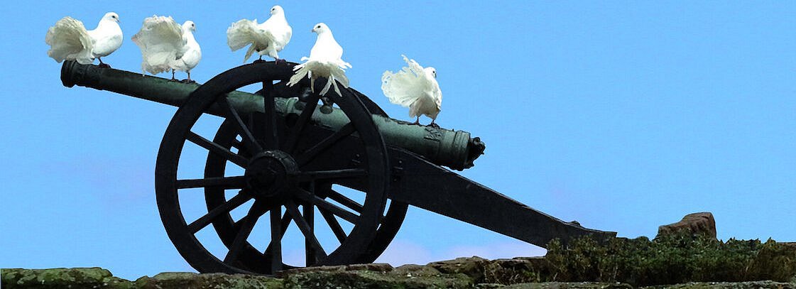 Weiße Tauben auf Kanone