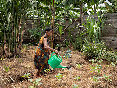 Joy Kamusiime (38), bewässert den Gemüsegarten ihres Hauses im Dorf Kikunda 1 im Distrikt Rwampara in Uganda.