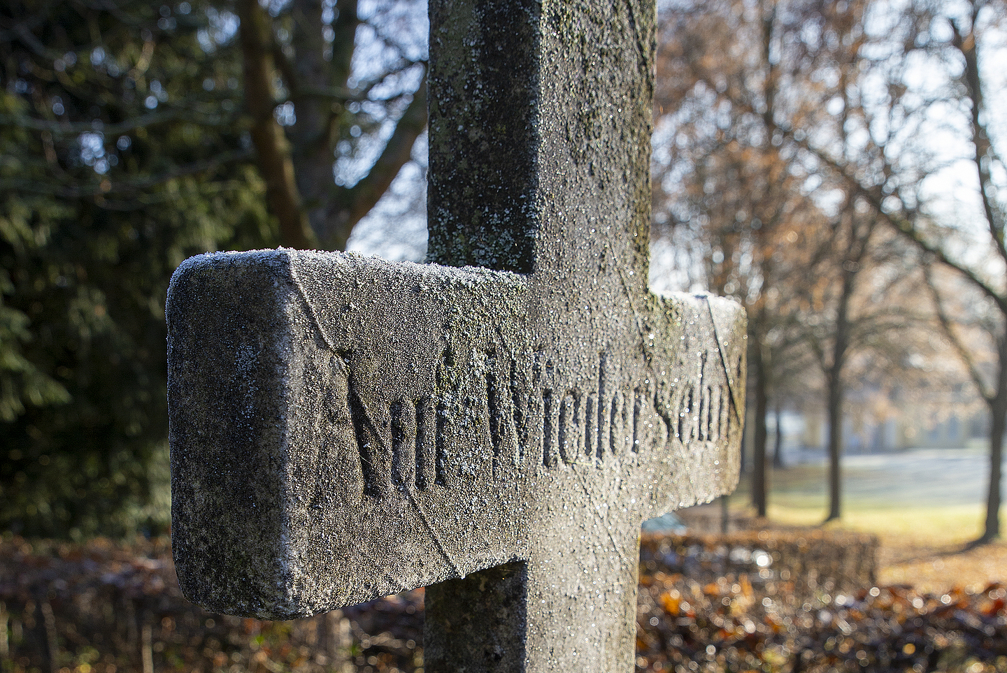Stimmungsbild im Park von Schloss Wilhelmsthal unweit von Kassel.