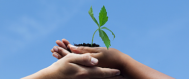 (Foto: medio.tv/Simmen)