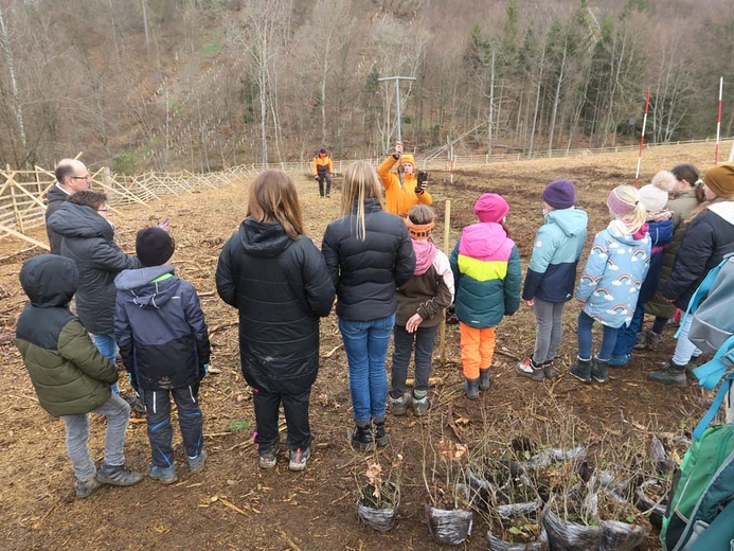 Pflanzaktion der Schülerinnen und Schüler der Auenbergschule Bad Wildungen am 29.3.2023. (Quelle: Albus) 