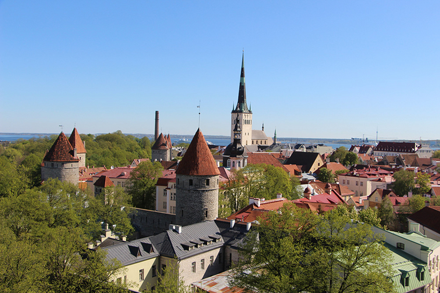 Blick über Talinn.