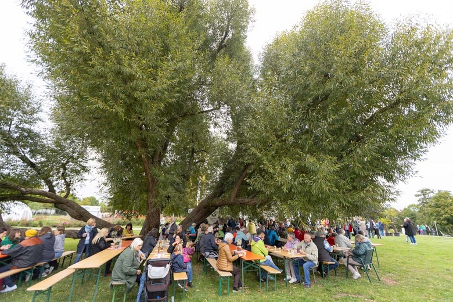 Abschlussfest Himmelszelt Landesgartenschau Fulda 2023