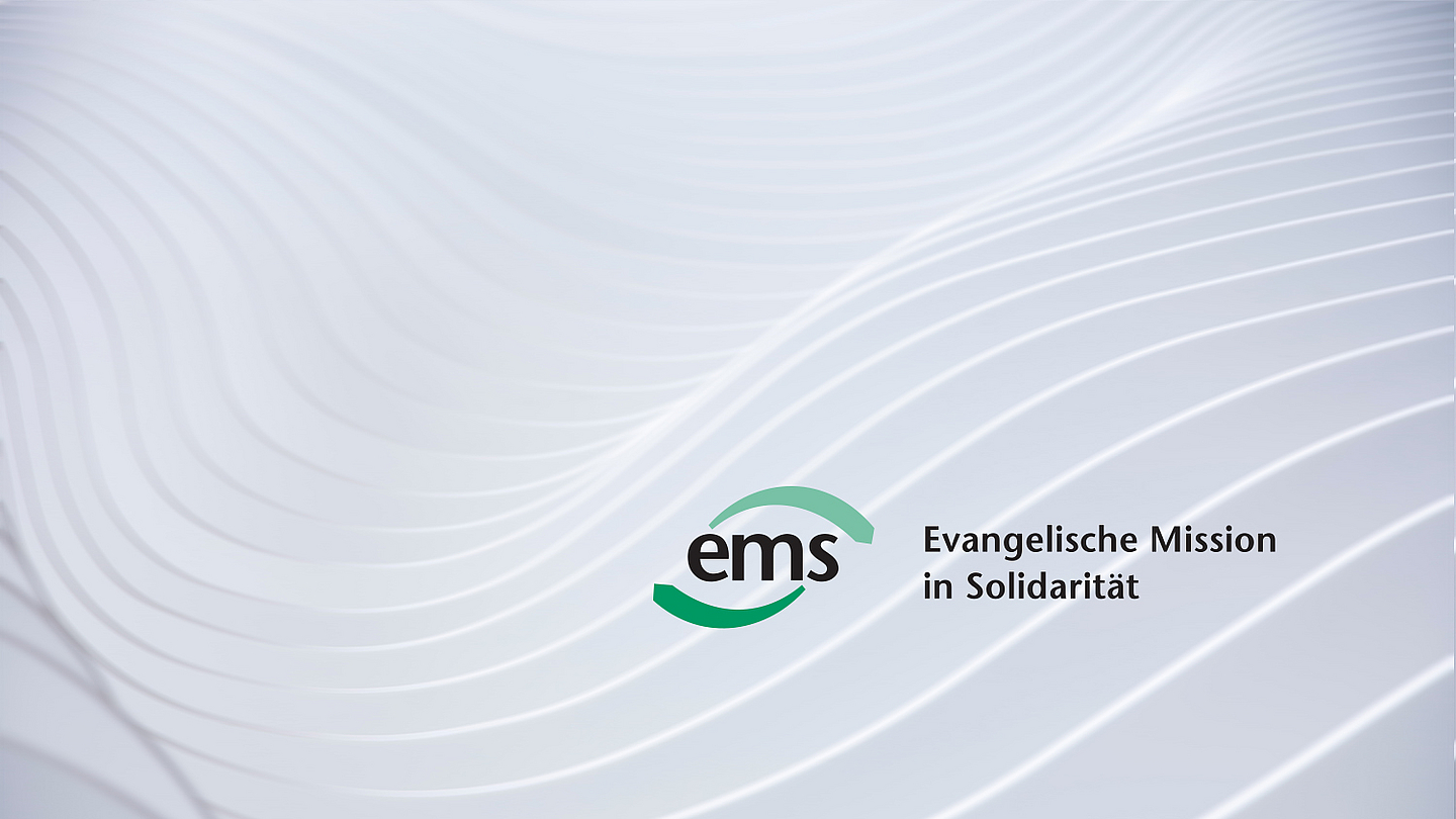 Logo der EMS
