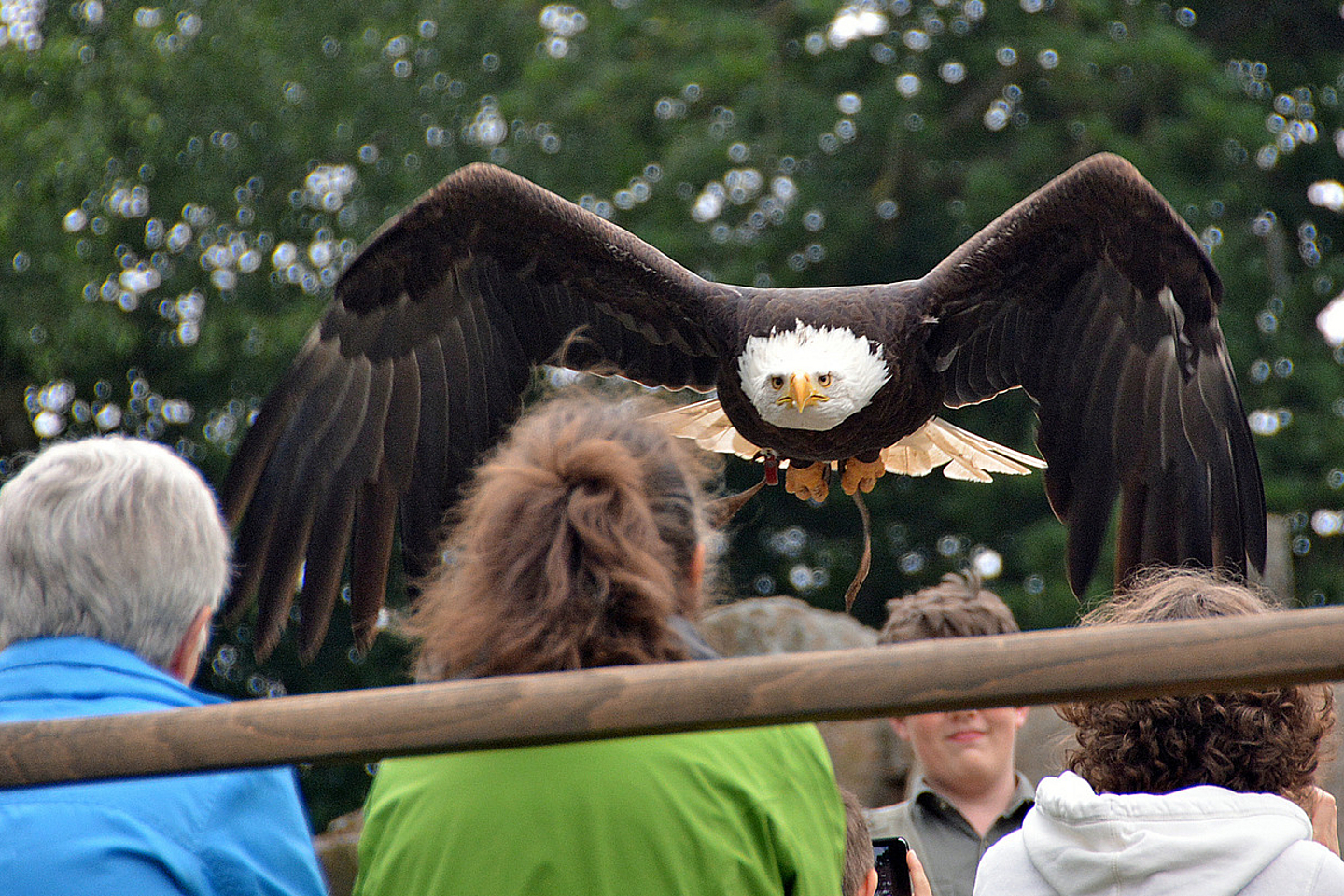 Bei der Flugshow gibt es viel zu staunen.