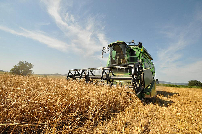 Getreideernte bei Niedenstein Für viele Menschen ist das Erntedankfest nicht von großer Bedeutung, weil sie Mangel nicht kennen. Doch für die Landwirte selbst ist das Fest nach wie vor sehr wichtig. (Foto: medio.tv/Zerhau)