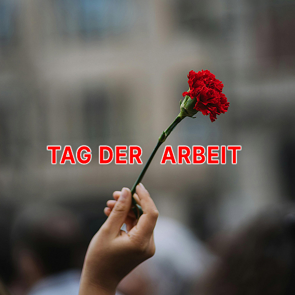 Die rote Nelke gilt als Symbol der Arbeiterbewegung. In der Geschichte wurden Demonstrationen am 1. Mai häufig gewaltsam unterbunden, Fahnen oder Plakate waren verboten. Deshalb trugen viele Protestierende eine rote Nelke im Knopfloch. So konnten sie ihre Verbundenheit zeigen und Gleichgesinnte erkennen.