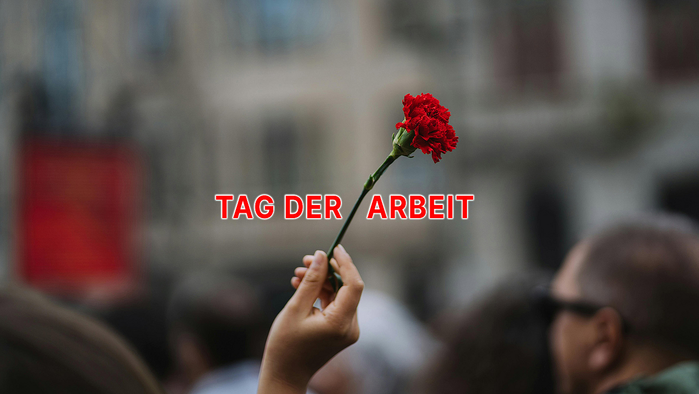 Die rote Nelke gilt als Symbol der Arbeiterbewegung. In der Geschichte wurden Demonstrationen am 1. Mai häufig gewaltsam unterbunden, Fahnen oder Plakate waren verboten. Deshalb trugen viele Protestierende eine rote Nelke im Knopfloch. So konnten sie ihre Verbundenheit zeigen und Gleichgesinnte erkennen.