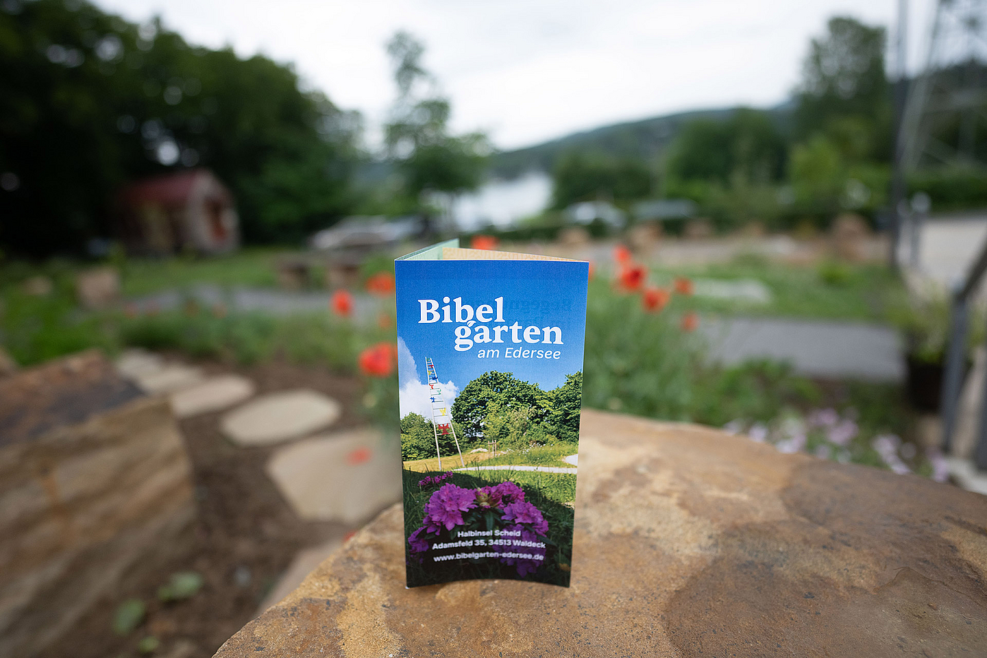 Der Bibelgarten befindet sich auf dem Gelände von «Kirche unterwegs» auf der Halbinsel Scheid (Adamsfeld 15) und lädt zur Begegnung mit biblischen Themen und anderen Menschen ein.