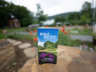 Der Bibelgarten befindet sich auf dem Gelände von «Kirche unterwegs» auf der Halbinsel Scheid (Adamsfeld 15) und lädt zur Begegnung mit biblischen Themen und anderen Menschen ein.