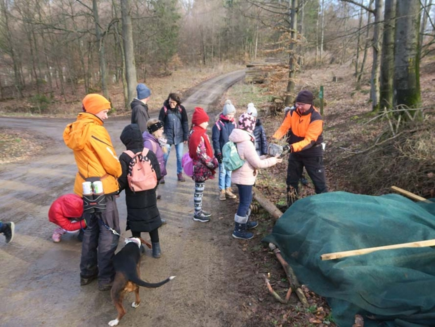 Pflanzaktion der Schülerinnen und Schüler der Auenbergschule Bad Wildungen am 29.3.2023. (Quelle: Albus) 