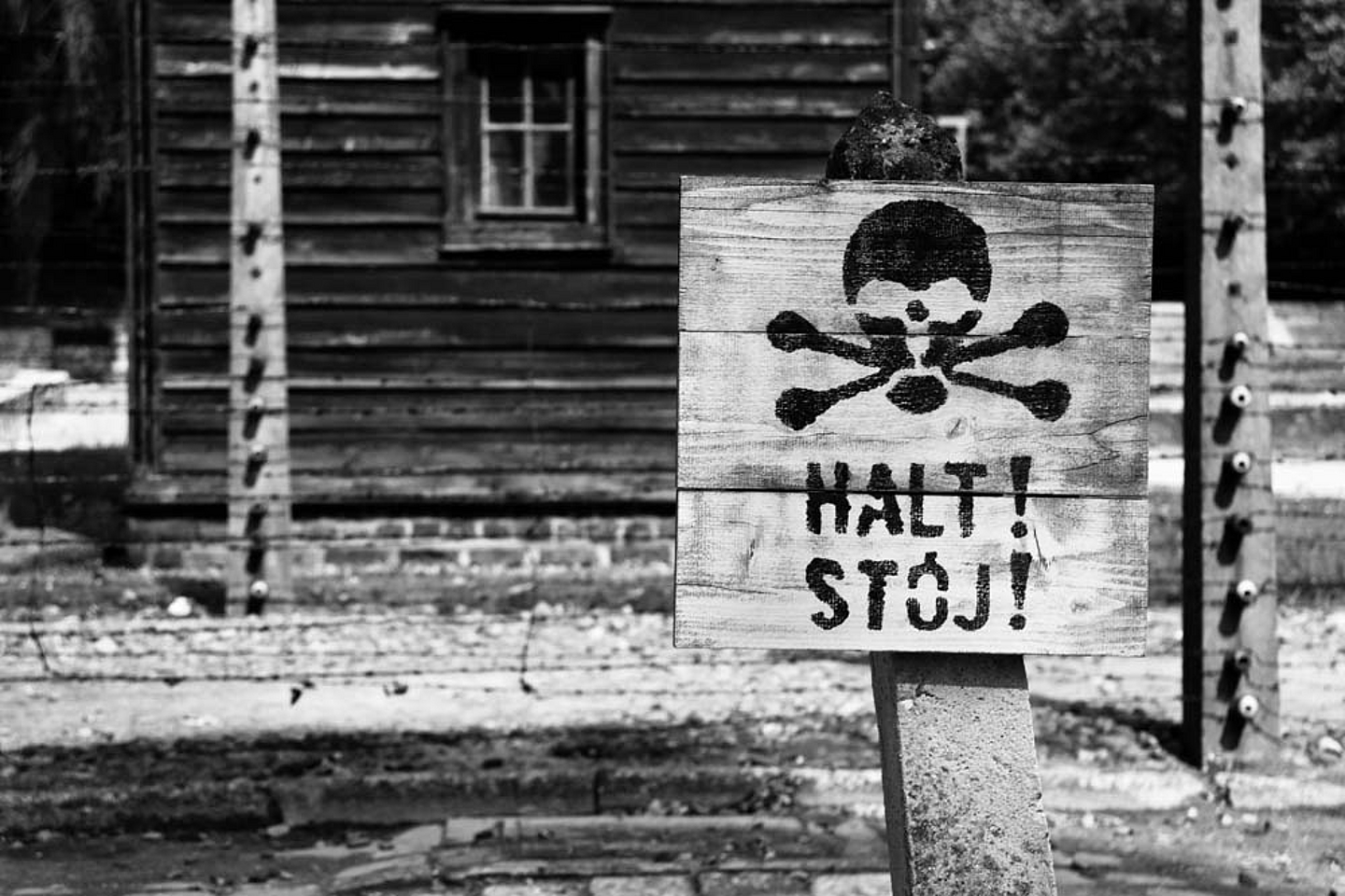 Eindrücke aus Auschwitz.
