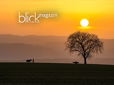 Abendliche Naturszene mit Sonnenuntergang, einem Baum und Menschen