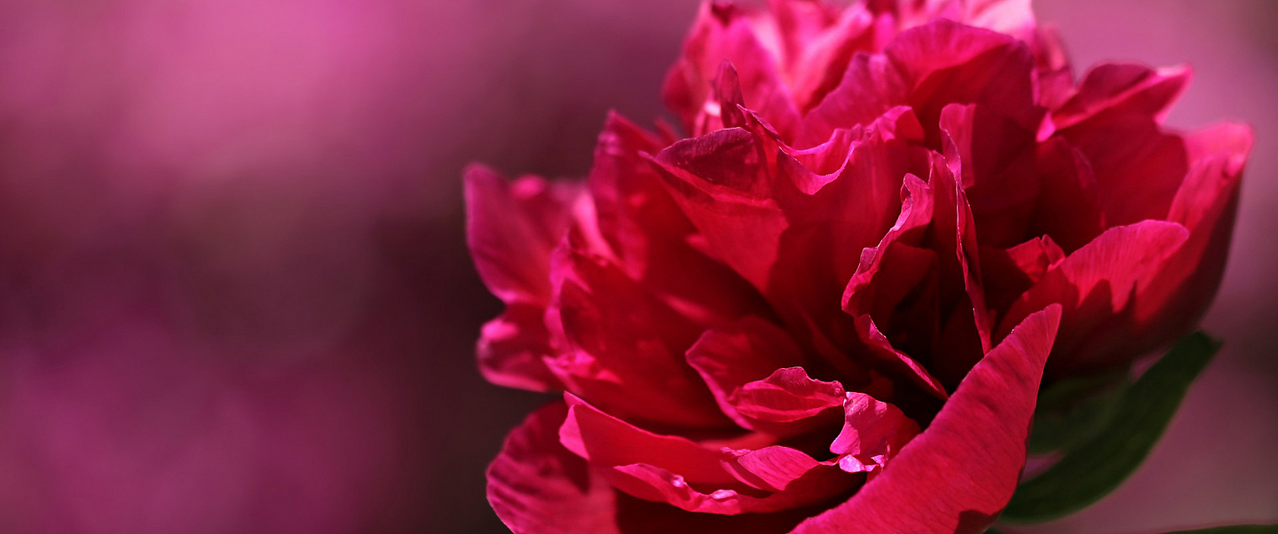 (Foto: pixabay)