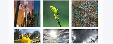 Bildschirmfoto des Instagram-Kanals.