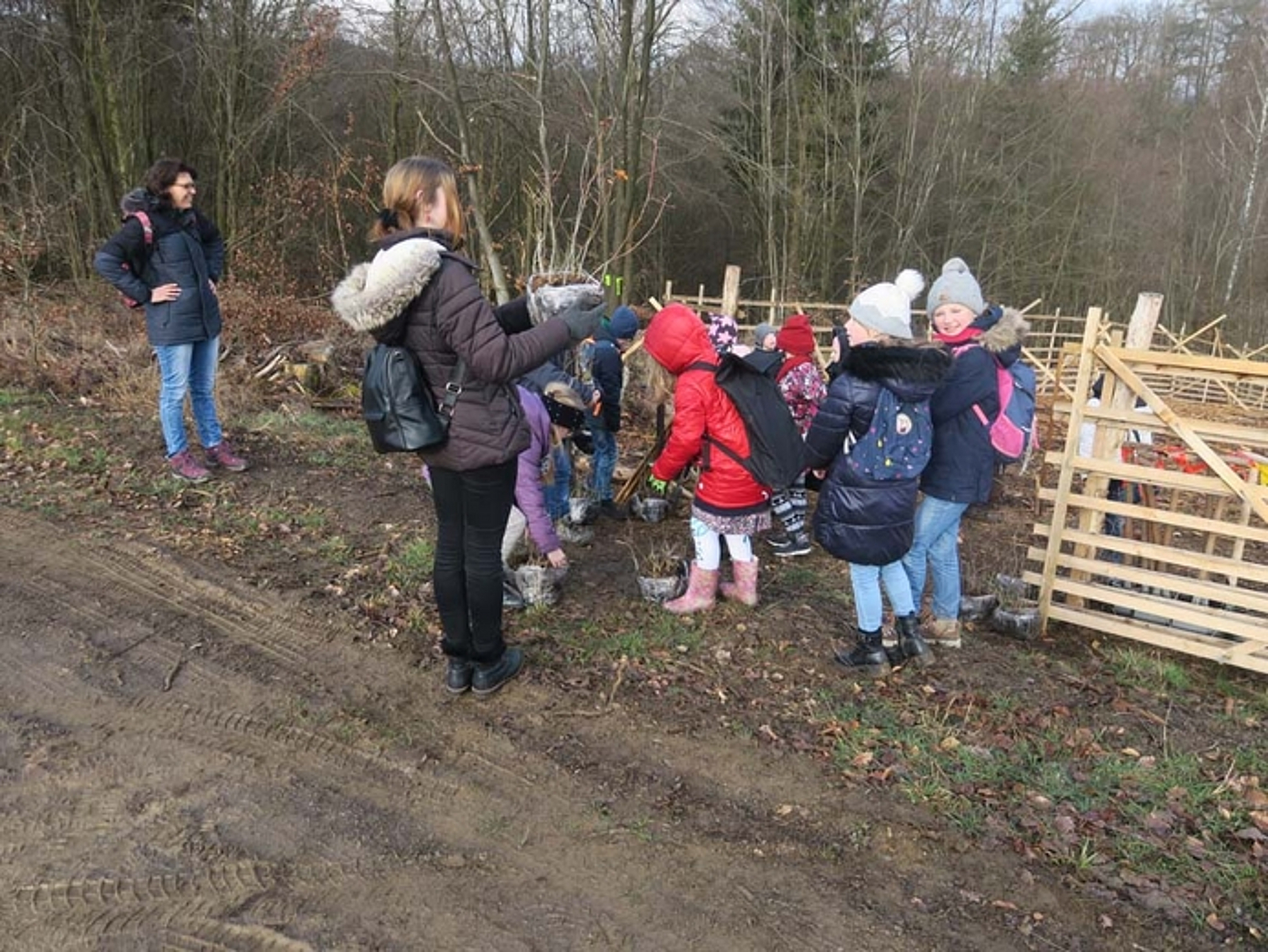 Pflanzaktion der Schülerinnen und Schüler der Auenbergschule Bad Wildungen am 29.3.2023. (Quelle: Albus) 