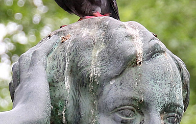 Tauben"schiss" auf dem Kopf einer Skulptur. Foto: Peter Weidemann, pfarrbriefservice.de