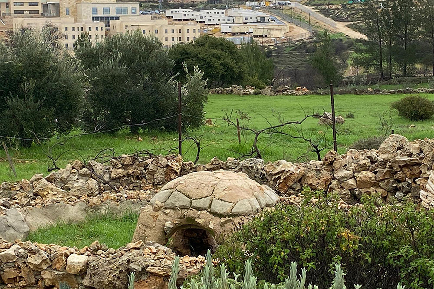 «Tent of Nation / Zelt der Völker»: das Land, seit Generationen im Besitz der evang.-luth. Familie Nassar aus Bethlehem, ist von völkerrechtswidrigen jüdisch-israelischen Siedlungen umgeben. Die Landenteignungen und der Siedlungsbau gehen unvermindert weiter. Trotz aller Papiere, die die Familie Nassar rechtsgültig hat, gibt es täglich Übergriffe der Siedlerbewegung unter dem Schutz des israelischen Militärs.
