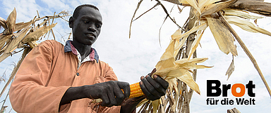 Mehr Ernte dank der Unterstützung von Bort für die Welt. Unser Foto zeigt den Farmer Okello Kwot bei der Maisernte in Äthiopien. (Foto: Jörg Böthling/Brot für die Welt)