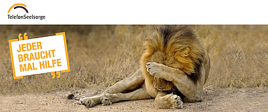 Bildschirmfoto von der Internetseite der Telefonseelsorge