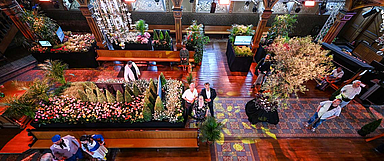 Unser Foto zeigt den gestalteten Innenraum der Martinskirche in Pfungstadt, die zum Hessentag zur Glückskirche wurde. (Foto: EKHN/Dirk Zengel)