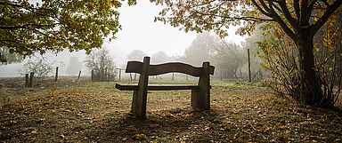 Verlassene Parkbank in der Dönche in Kassel (Foto: medio.tv/schauderna).
