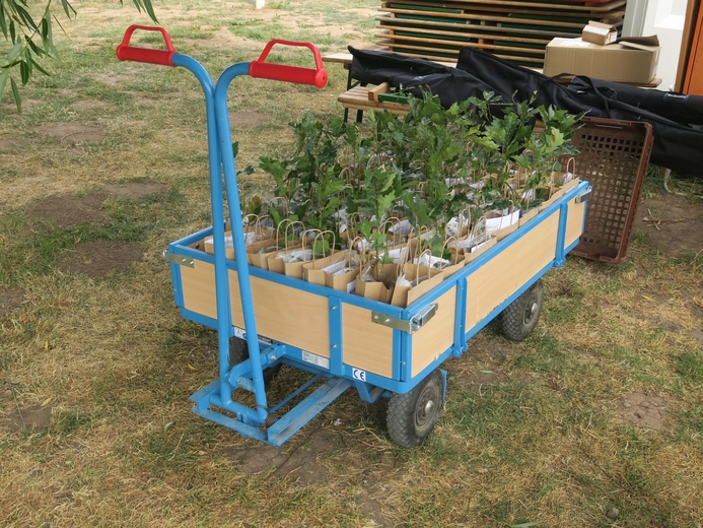 Gottesdienst mit Baum-Aktion zur Themenwoche «Bäume und Pflanzen» auf der Landesgartenschau in Fulda.