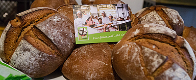 (Alle Fotos: medio.tv/Socher)