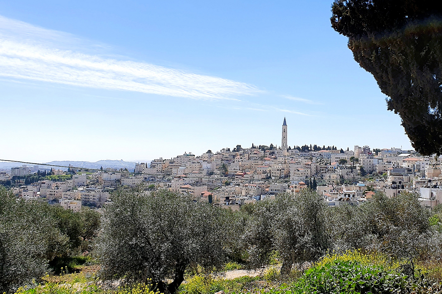 Bilder aus Palästina und Israel