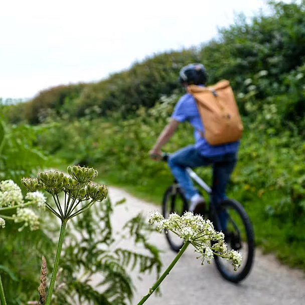 Ein Radfahrer fährt durch die Natur