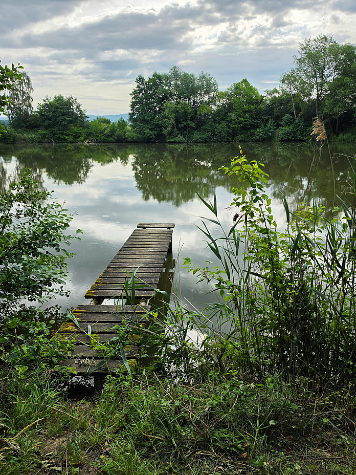 Ein Sommermorgen in Grifte, zu sehen ist ein Steg, der auf einen See hinausführt. Foto: Julia Hofmann Ein Sommermorgen in Grifte, zu sehen ist ein Steg, der auf einen See hinausführt. Foto: Julia Hofmann