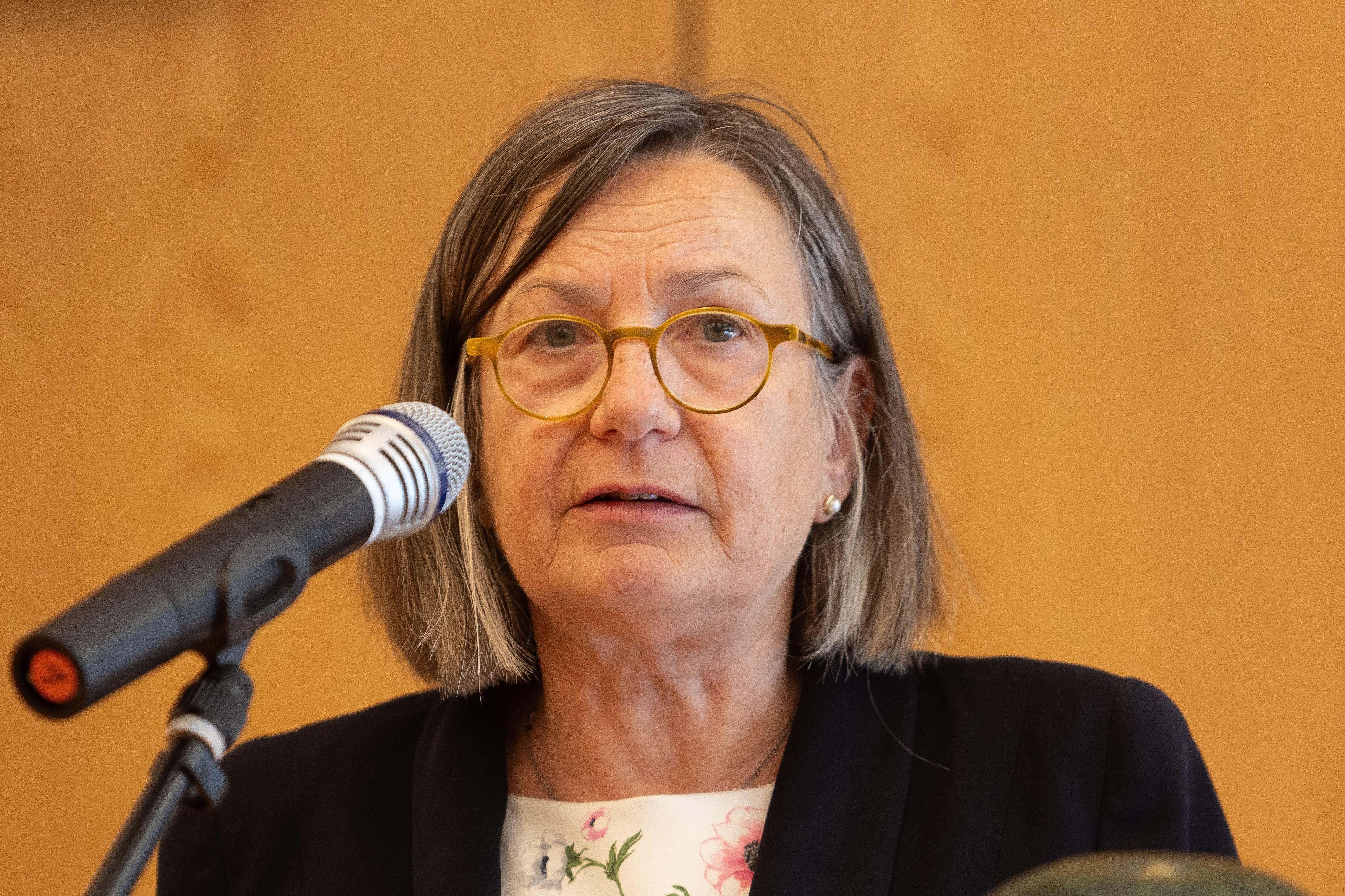 Laudatorin Annemarie Stoltenberg (Kulturredakteurin NDR)