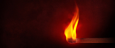 (Foto: pixabay/Comfreak)