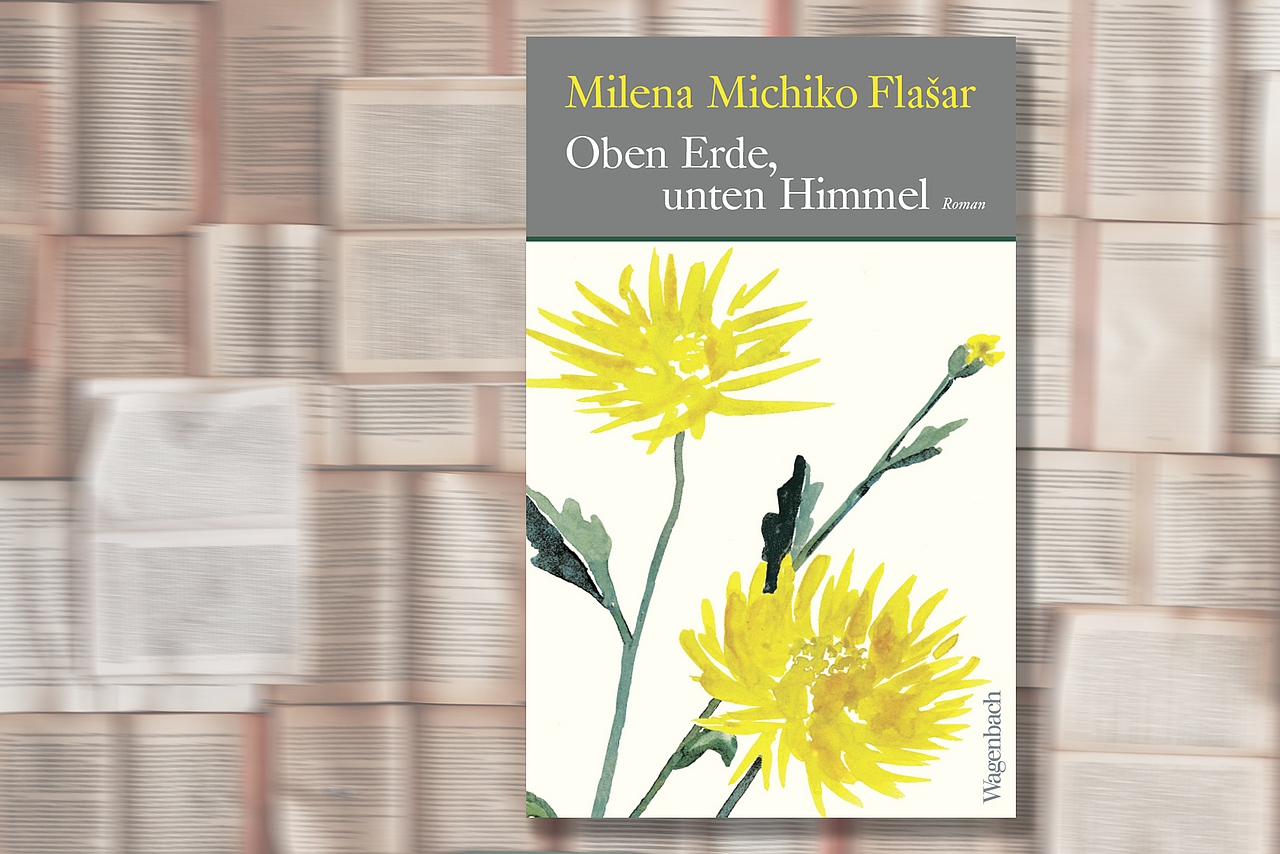 Cover des Buches «Oben Erde, unten Himmel» Cover des Buches «Oben Erde, unten Himmel»