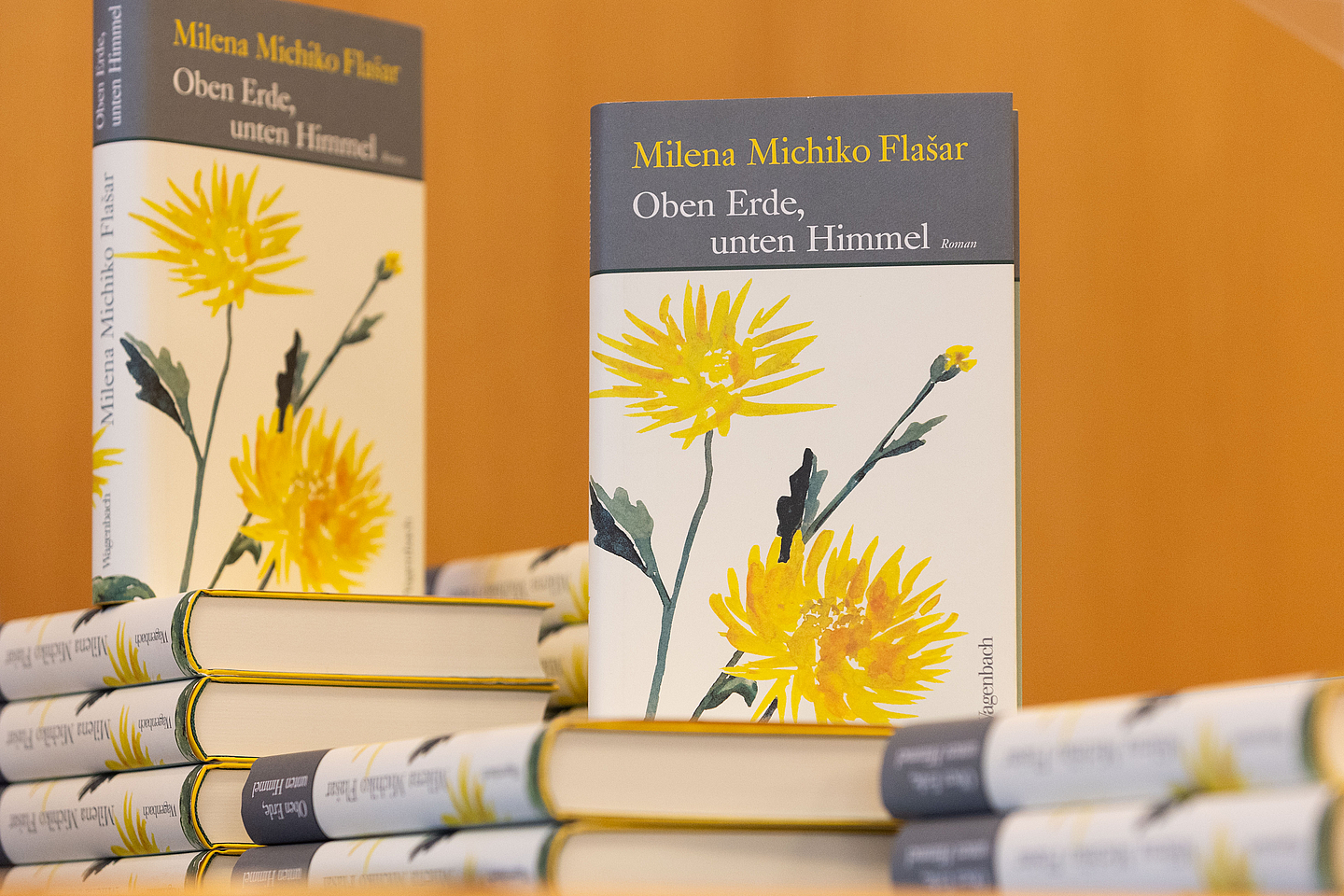 „Oben Erde, unten Himmel“, 2023 im Wagenbach Verlag erschienen, gewinnt den Evangelischen Buchpreis 2024.