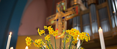 Feierlich geschmückter Altar mit Osterglocken in der Friedenskirche in Kassel