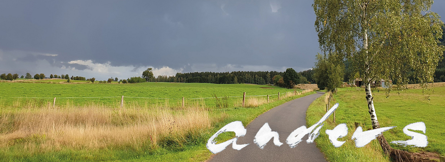 Eine schmale Straße an Feldern und Wiesen vorbei im Sommer. Die Straße führt zum Horizont , die Bild "Sommerwege" (Ausschnitt): Foto und Handschrift: Birgitta Schwansee