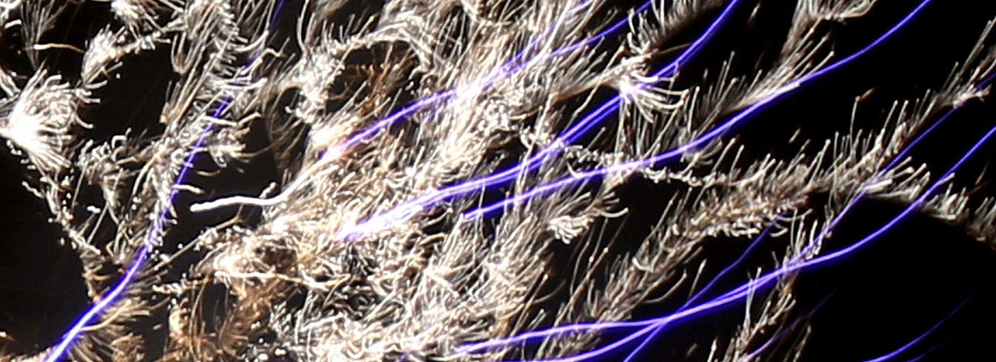 Foto "Brainstorming" (Ausschnitt): ein Netz aus hellen Lichtpunkten, Lichtlinien. Von Peter Weidemann, pfarrbriefservice.de
