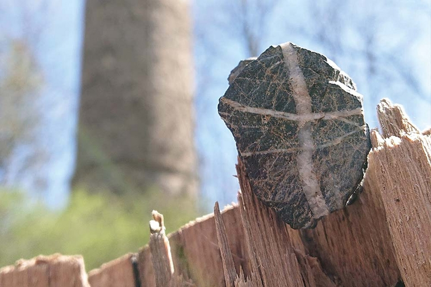 (Foto:Kirchengemeinde Wildunger Walddörfer)