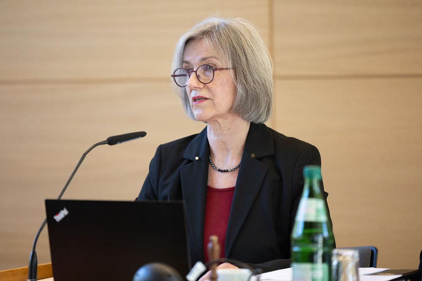 Dr. Isabel Schneider-Wölfinger