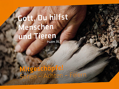 Eine menschliche Hand berührt sanft die Pfote eines Tieres, vermutlich eines Hundes. Beide liegen auf einem steinigen Untergrund. Der Hintergrund ist teilweise mit orangefarbenen geometrischen Formen überlagert. Auf dem Bild steht der Text: „Gott, Du hilfst Menschen und Tieren – Psalm 36,7“ sowie „Mitgeschöpfe! Sehen – Achten – Feiern“.