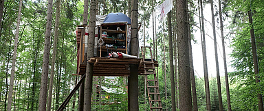 Unser Foto zeigt ein Baumhaus des Protest-Camps im Dannröder Forst. (Foto: Wikipedia/Leonhard Lenz)