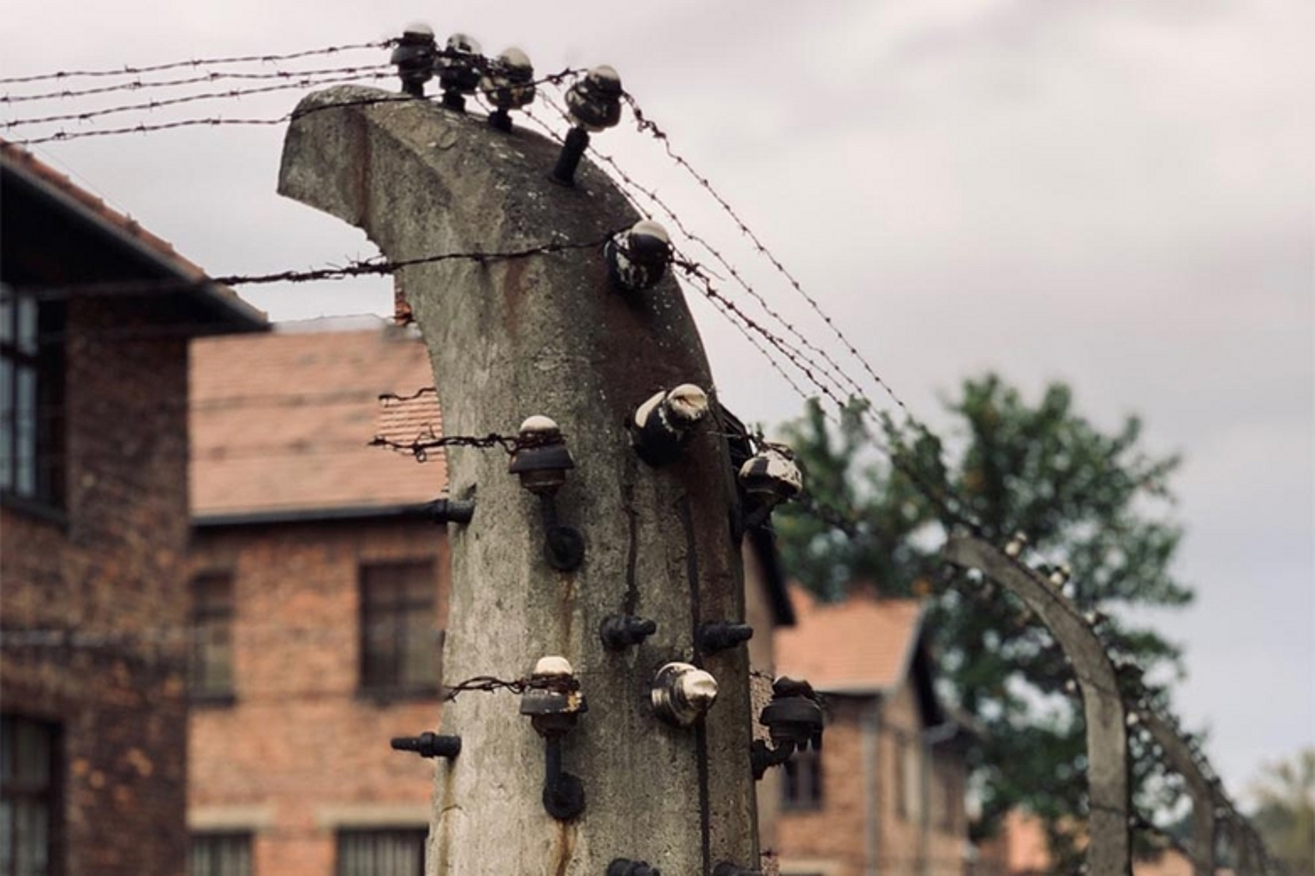 Jugendliche aus der Evangelischen Kirche von Kurhessen-Waldeck haben im Rahmen der Reihe «Events für Sinnsucher*innen» des Landeskirchenamtes die KZ-Gedenkstätte Auschwitz in Polen besucht. (Foto: medio.tv/Meier)