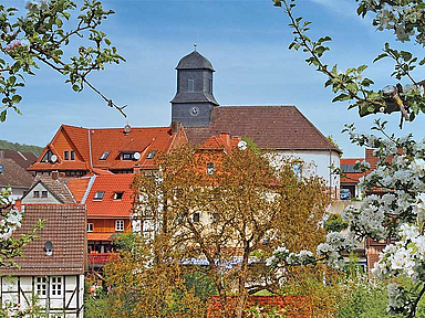 Das Bild zeigt die Stadtkirche Niedenstein im Kirchenkreis Schwalm-Eder im Frühling.
