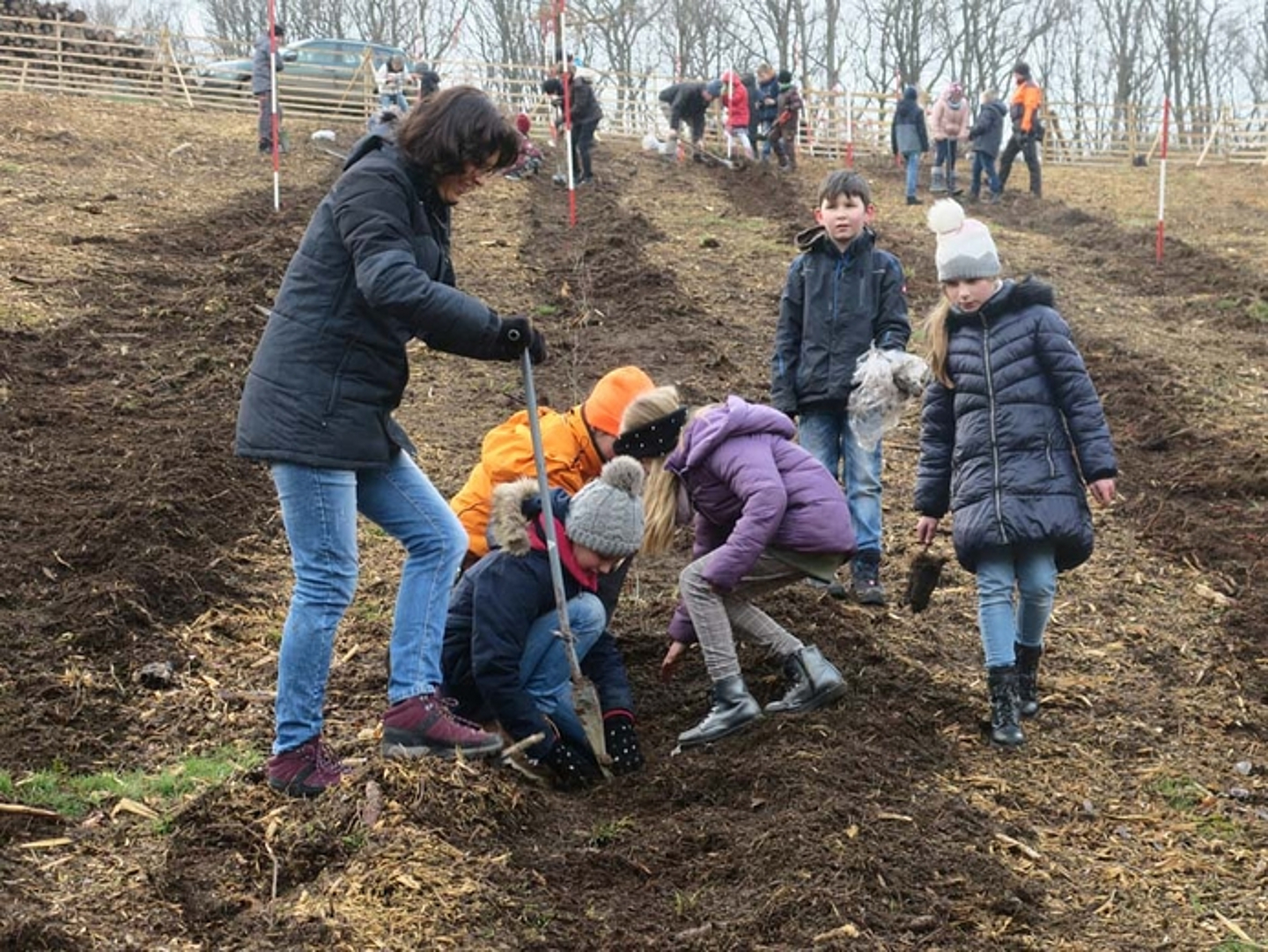 Pflanzaktion der Schülerinnen und Schüler der Auenbergschule Bad Wildungen am 29.3.2023. (Quelle: Albus) 