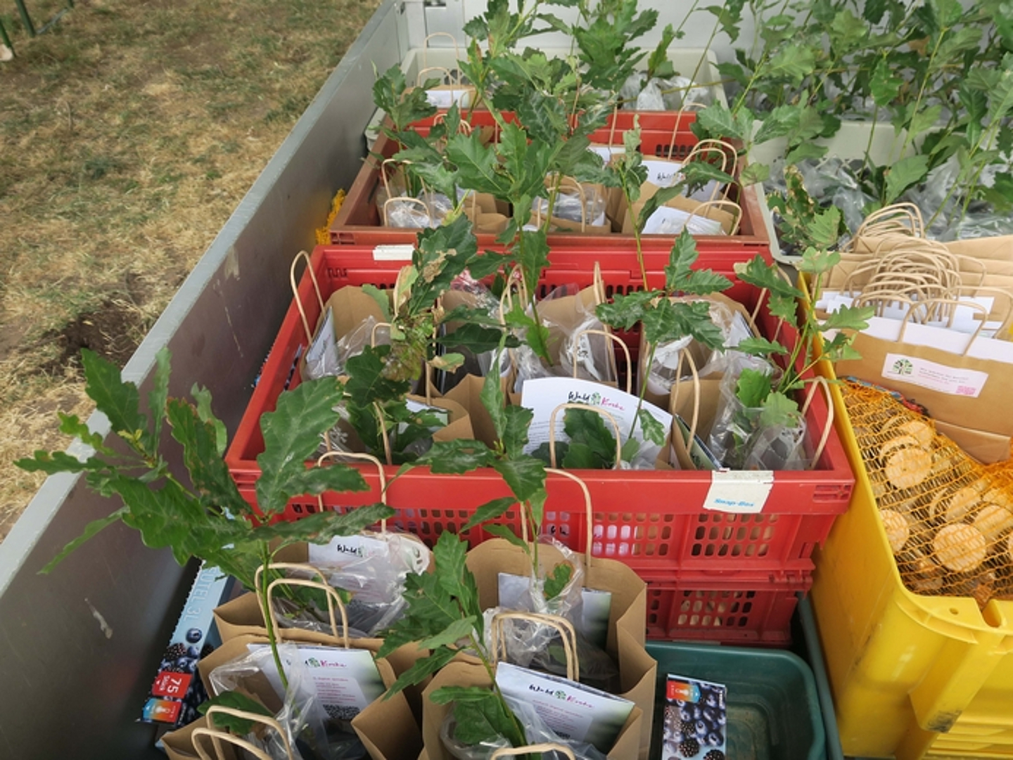 Gottesdienst mit Baum-Aktion zur Themenwoche «Bäume und Pflanzen» auf der Landesgartenschau in Fulda.