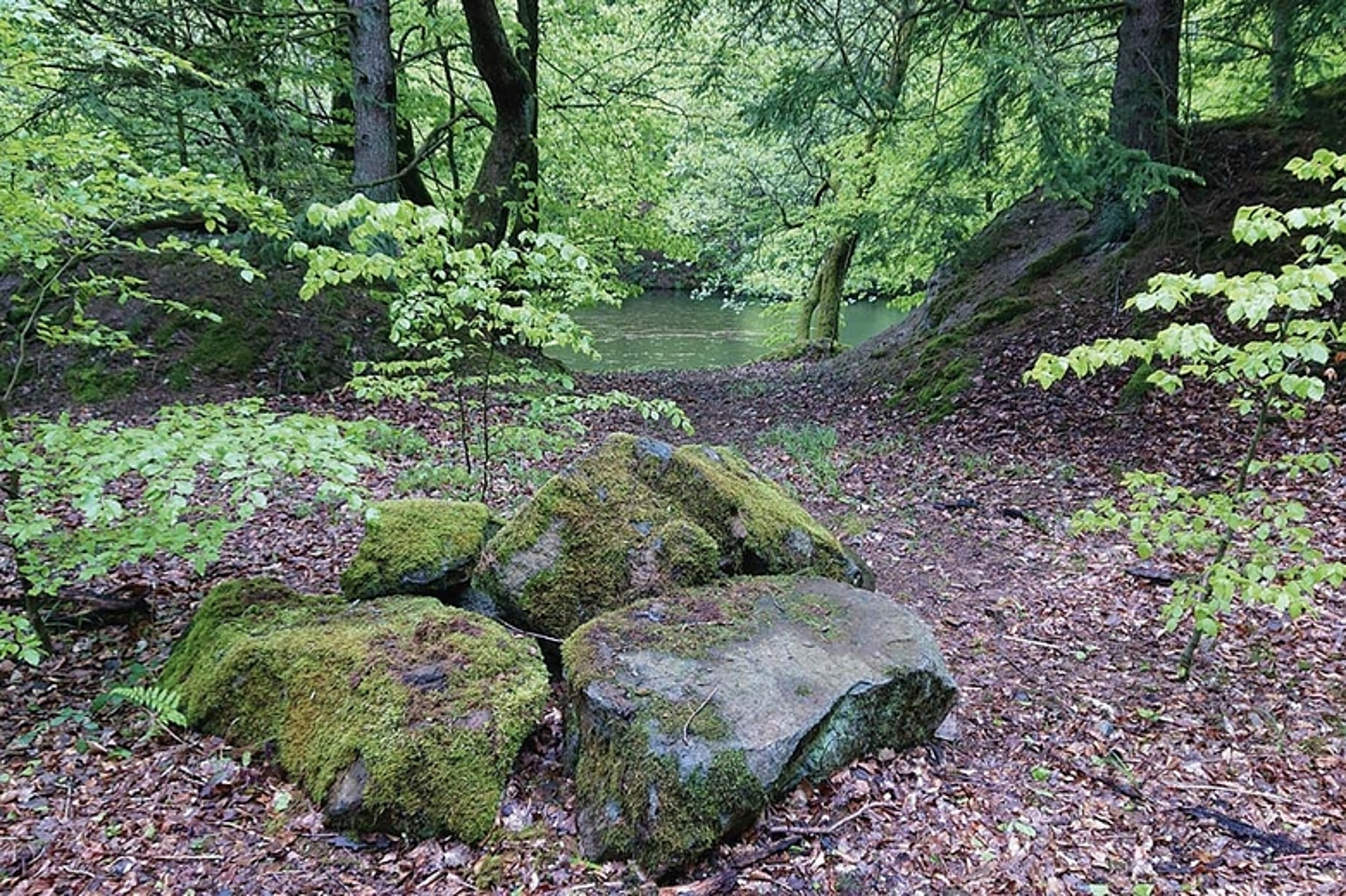 (Foto:Kirchengemeinde Wildunger Walddörfer)