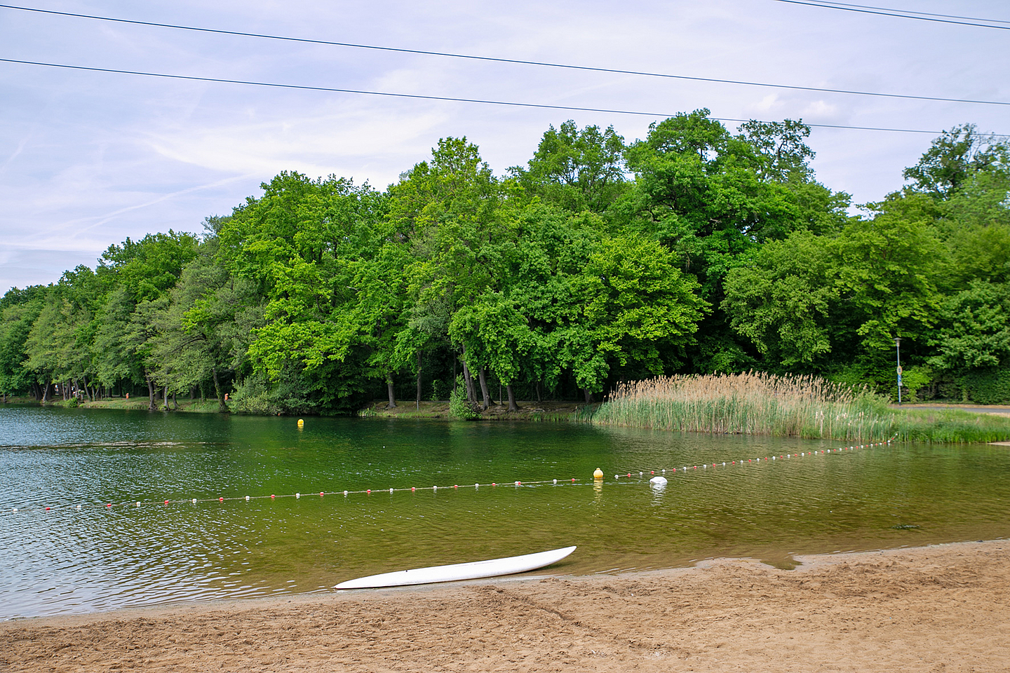Ein Abschnitt des Ufers am Bärensee