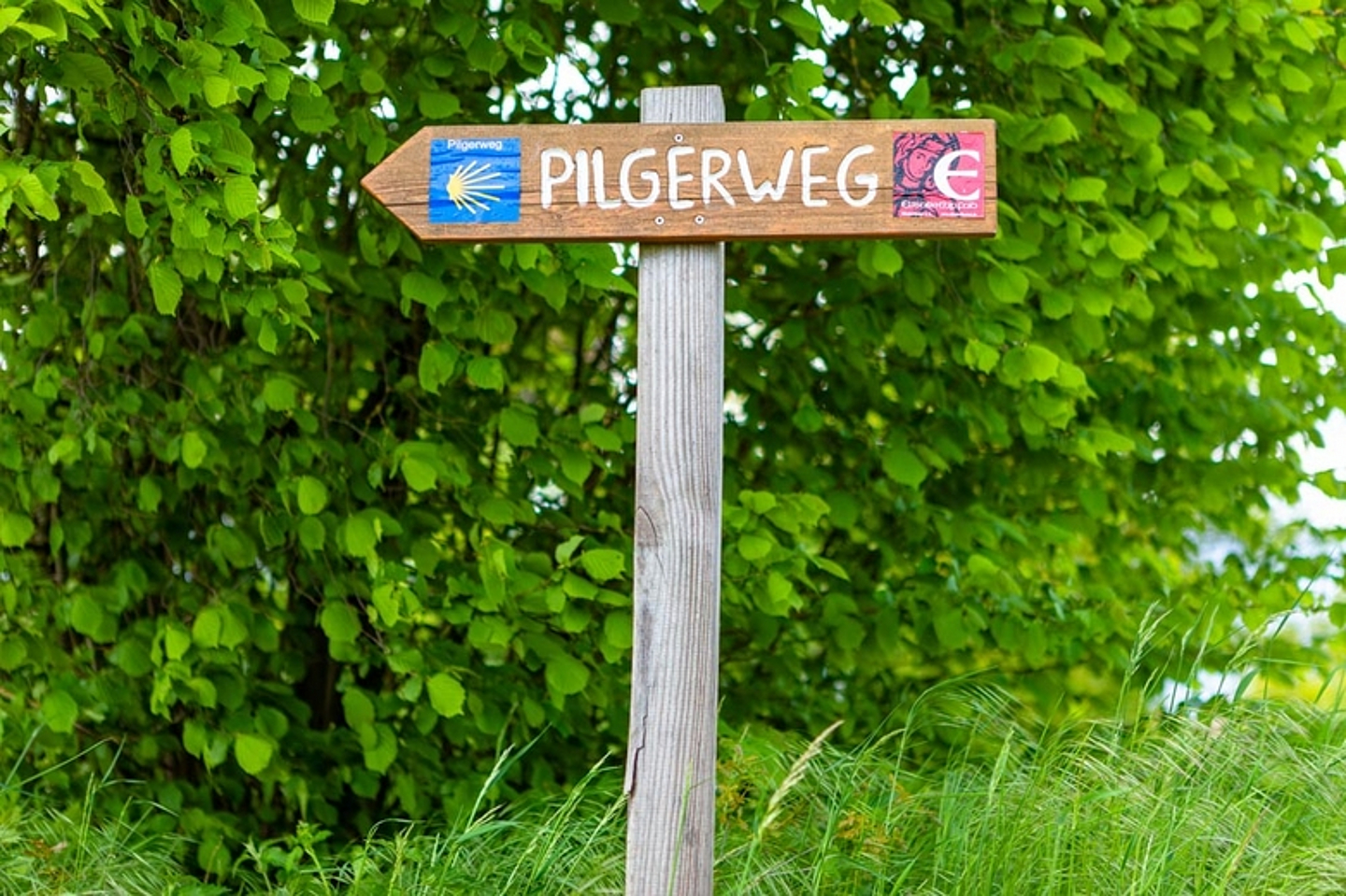 Impressionen vom Pilgerweg von Bischöfin Dr. Hofmann und Bischof Dr. Gerber am Pfingstmontag 2021 von Marburg nach Amöneburg. (Foto: Bistum Fulda/Beintken)