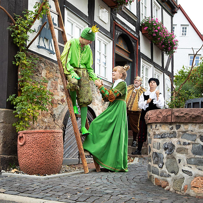 Der Froschkönig in Alsfeld Der Froschkönig in Alsfeld